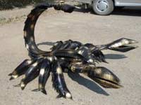 Фигура скорпиона из покрышек